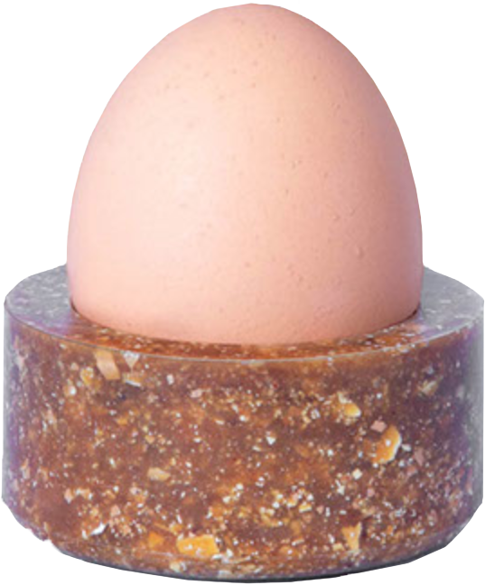 egg